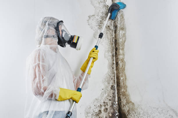 Best Mold Testing  in Oregon, IL