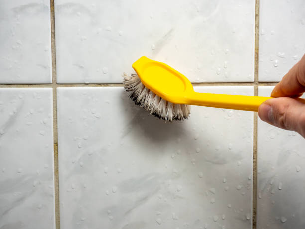 Best Affordable Mold Removal  in Oregon, IL