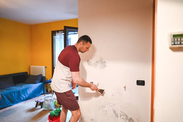 Best Office Mold Removal Services  in Oregon, IL